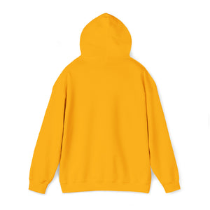 CAVANARO HOODIE