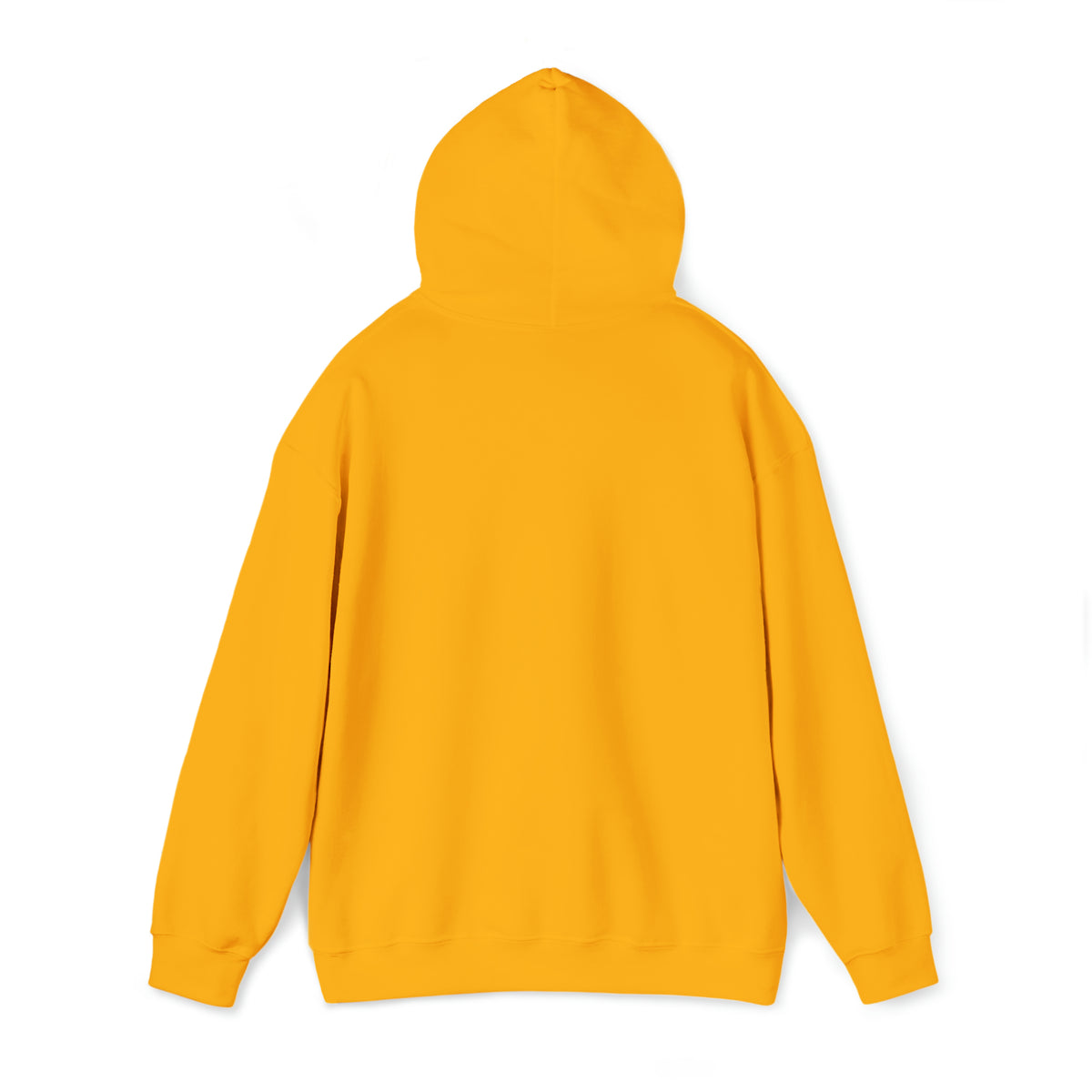 CAVANARO HOODIE